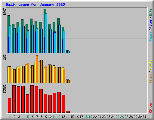 Daily usage for January 2025