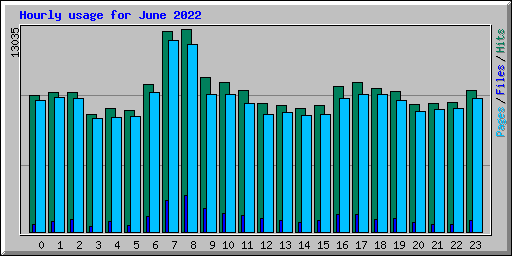 Hourly usage for June 2022