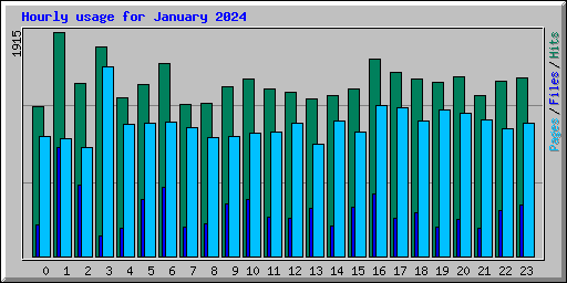 Hourly usage for January 2024