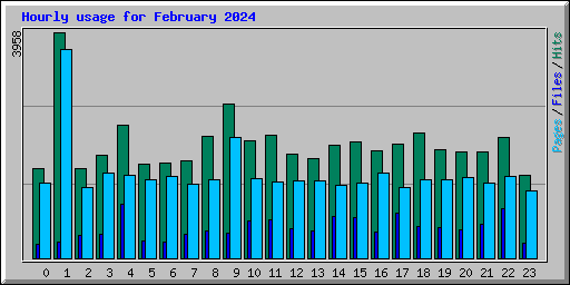 Hourly usage for February 2024