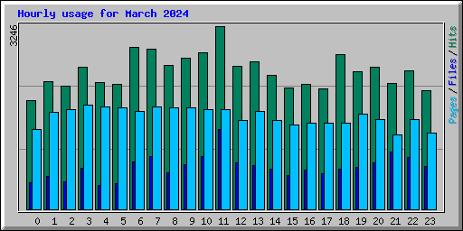 Hourly usage for March 2024