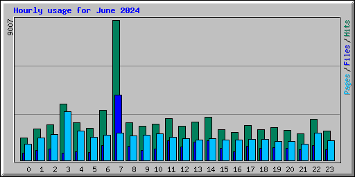 Hourly usage for June 2024