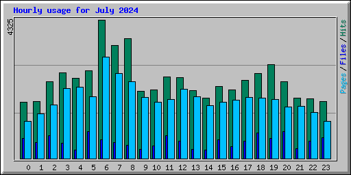 Hourly usage for July 2024