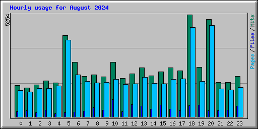 Hourly usage for August 2024