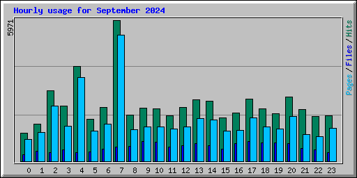 Hourly usage for September 2024