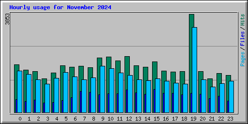 Hourly usage for November 2024