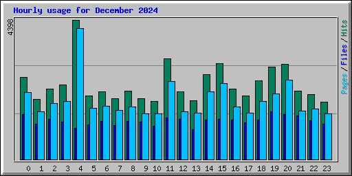 Hourly usage for December 2024