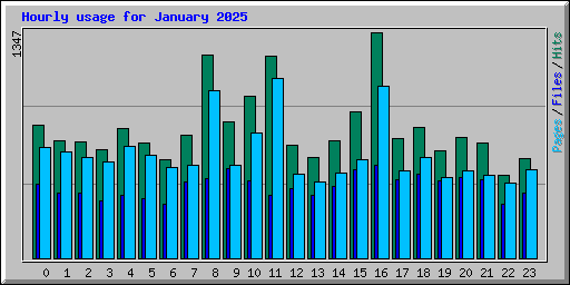 Hourly usage for January 2025