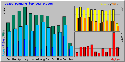 Usage summary for bsanat.com